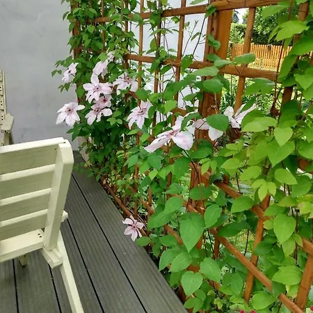 Kamienna Country house *