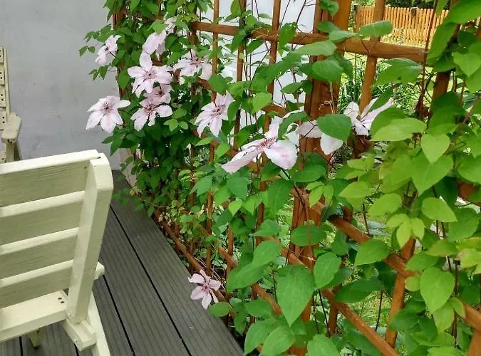 Kamienna Country house *